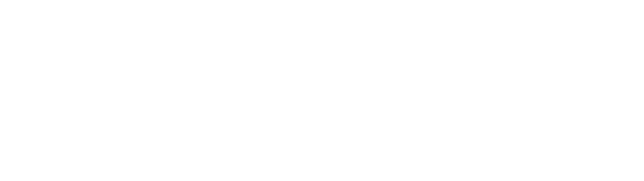 Destiny Motorsports by DYD logo